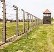 Border-Fencing