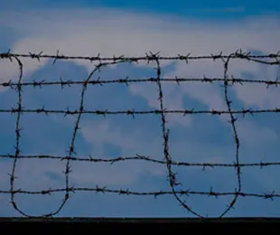 Reliable-Barbed-Wire