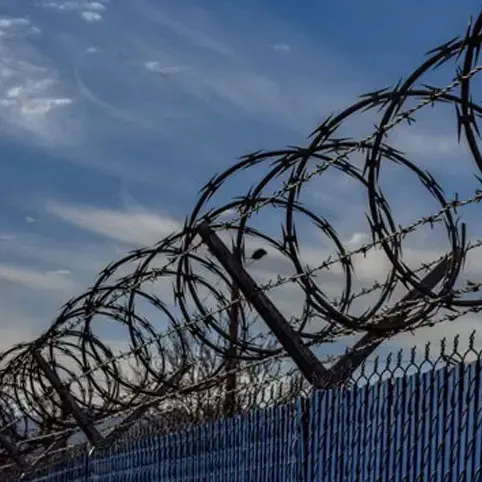 Concertina Wire